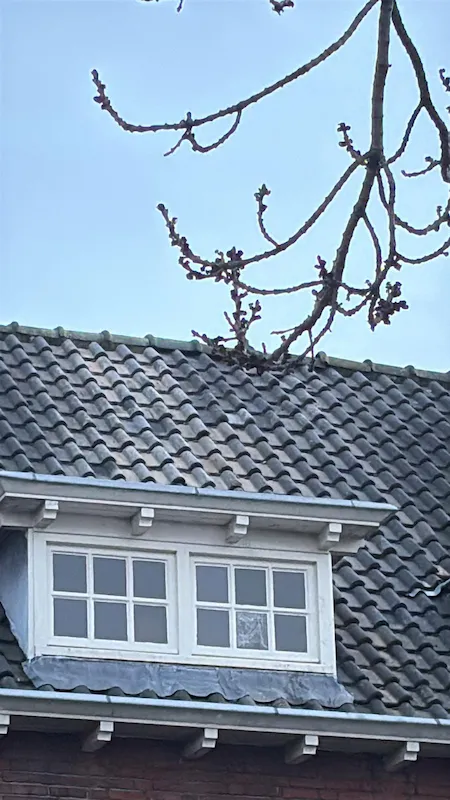 Schoorsteen verwijderd in Tilburg 5 Woning na schoorsteen verwijderen in Tilburg door Sloopbedrijf Brabant